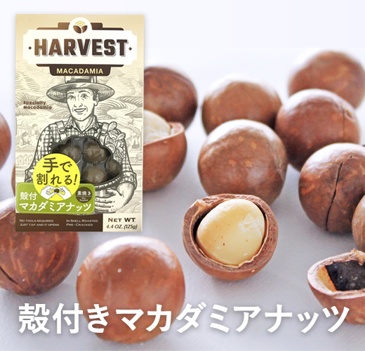 新商品のお知らせ -殻付きマカダミアナッツ-