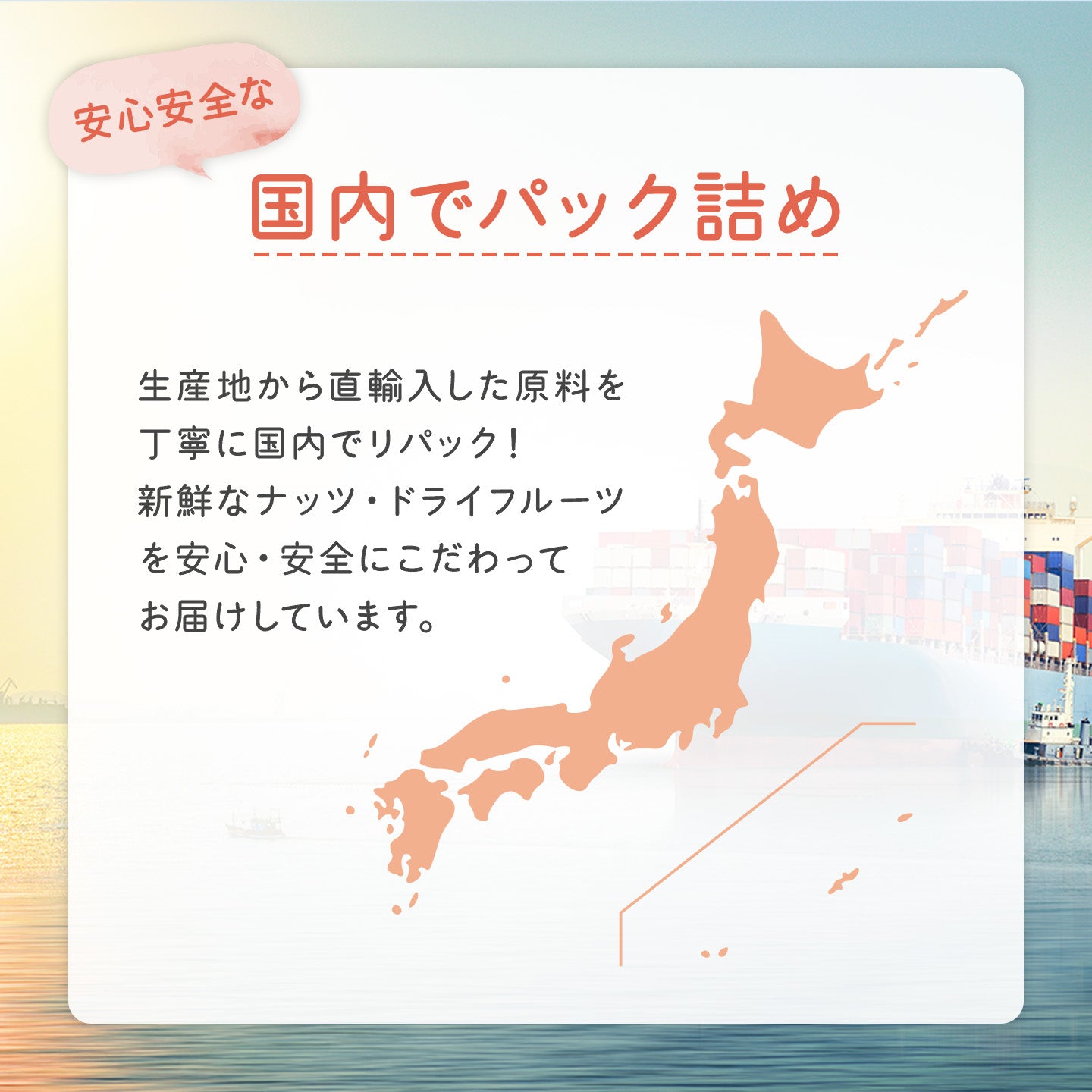 カンボジア産 ドライマンゴースライス ≪1kg≫