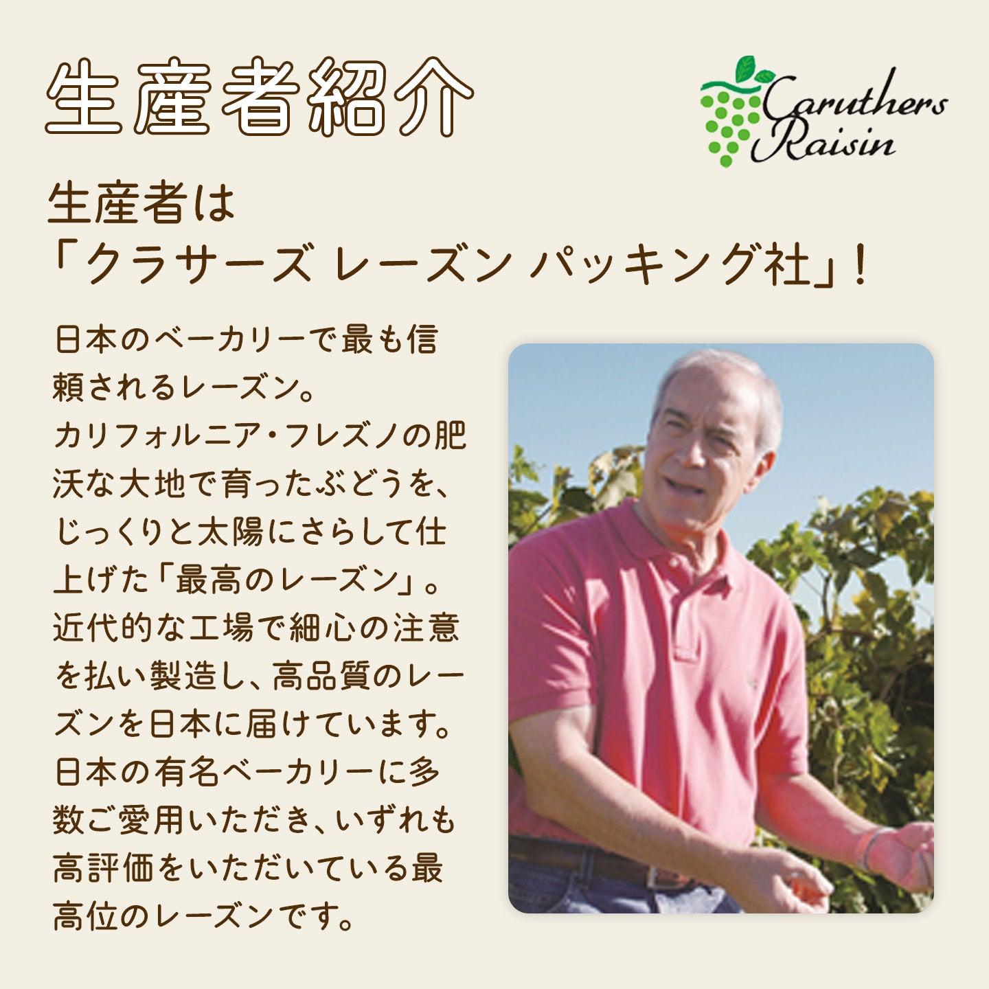 カリフォルニア産 ノンオイルレーズン ≪500g≫