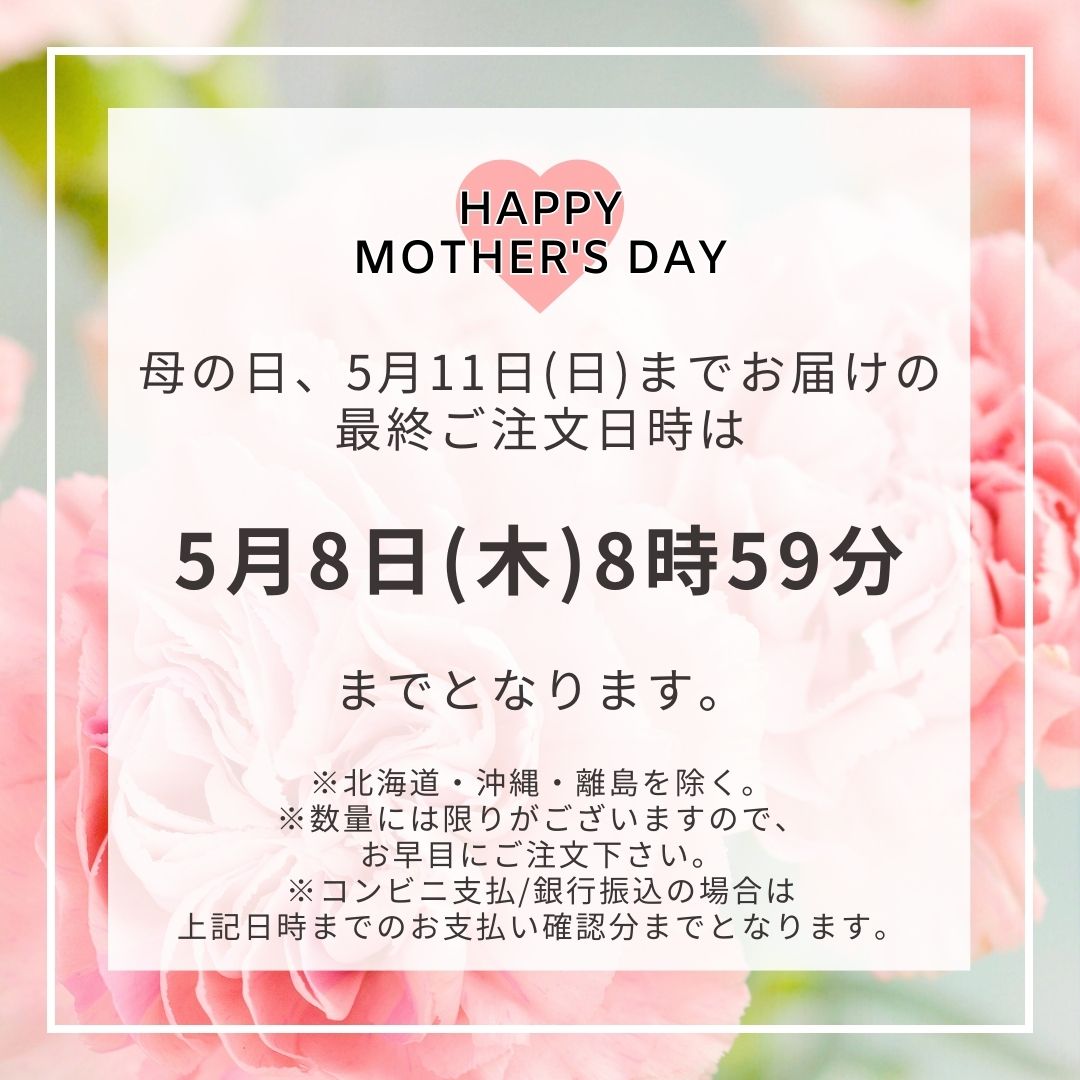 8種のドライフルーツギフト